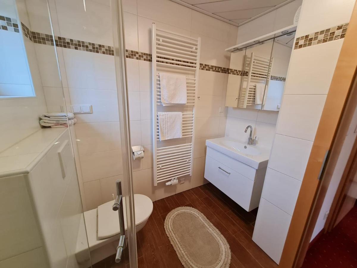 Apartement Obweghof Abtenau, Salzburger Land المظهر الخارجي الصورة
