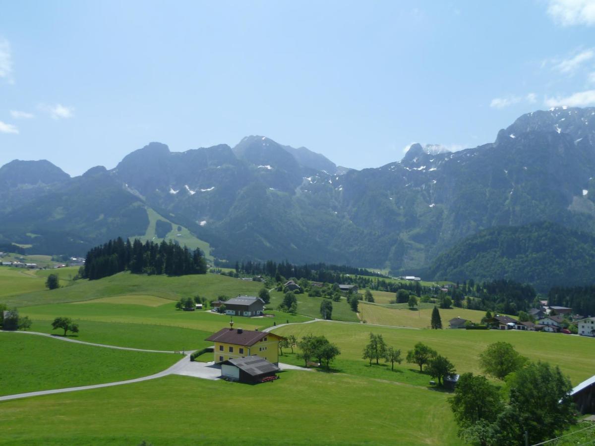 Apartement Obweghof Abtenau, Salzburger Land المظهر الخارجي الصورة