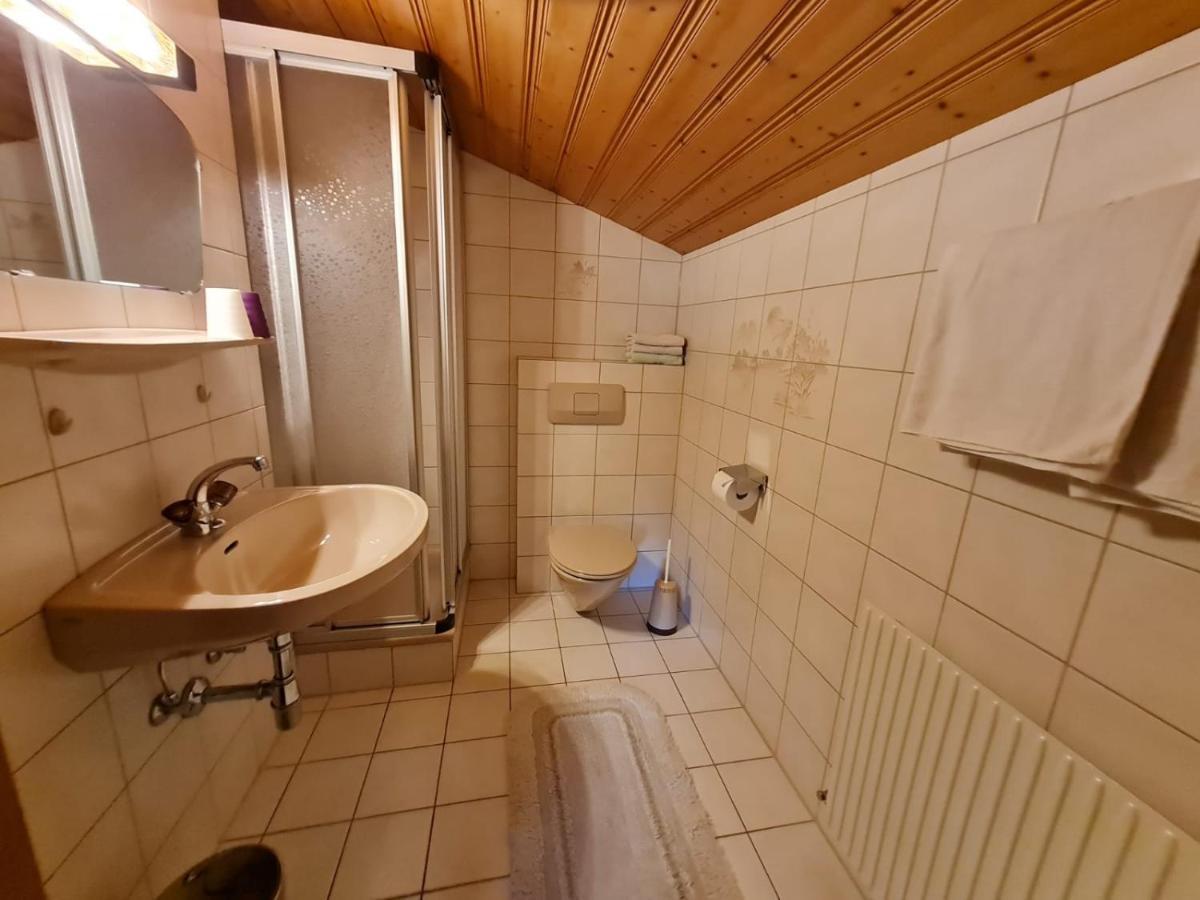 Apartement Obweghof Abtenau, Salzburger Land المظهر الخارجي الصورة